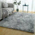 Modern Carpets
